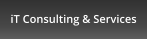 iT Consulting & Services